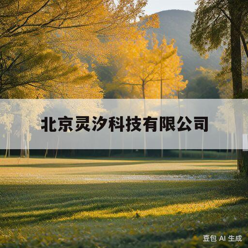 北京灵汐科技有限公司(北京灵汐科技有限公司武汉分公司)