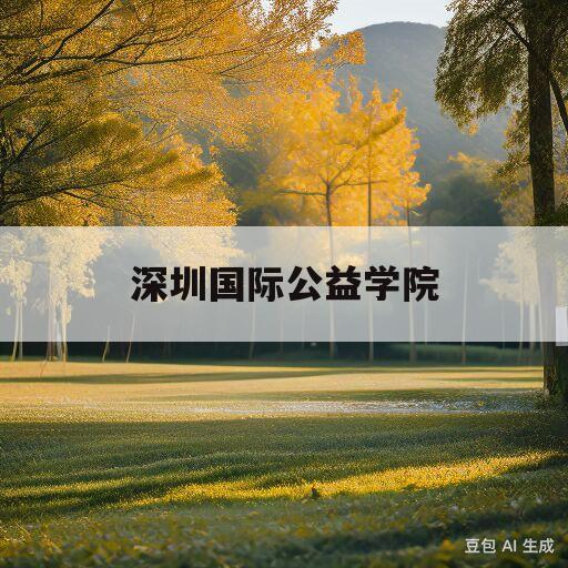 深圳国际公益学院(深圳国际公益学院招聘)