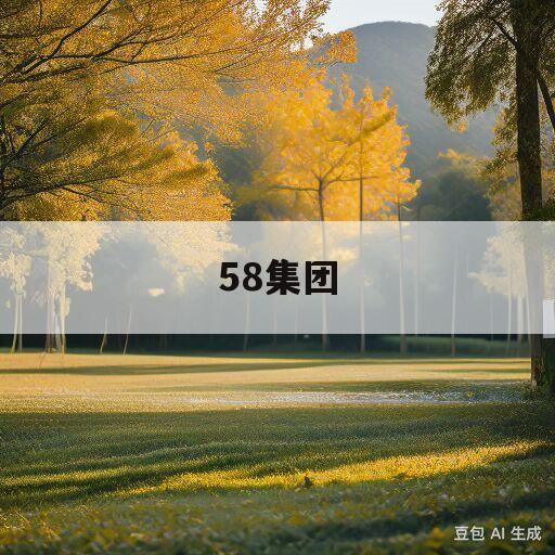 58集团(58集团是国企吗)