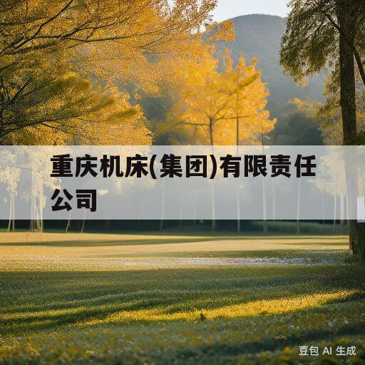 重庆机床(集团)有限责任公司(重庆机床集团有限责任公司是国企吗?)